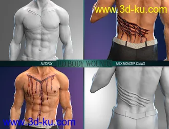 Body Wounds HD Morphs for Genesis 8 Male(s)模型的图片6