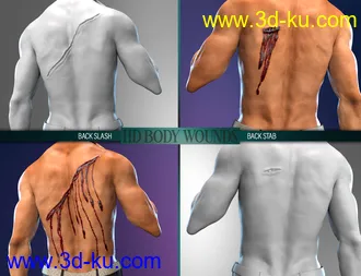 Body Wounds HD Morphs for Genesis 8 Male(s)模型的图片7