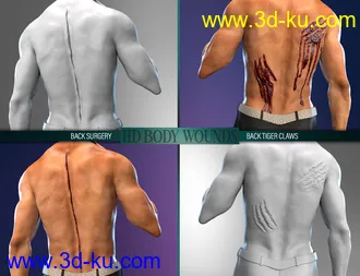 3D打印模型Body Wounds HD Morphs for Genesis 8 Male(s)的图片