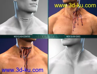 3D打印模型Body Wounds HD Morphs for Genesis 8 Male(s)的图片