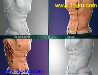 3D打印模型Body Wounds HD Morphs for Genesis 8 Male(s)的图片