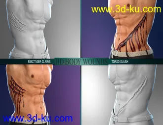 3D打印模型Body Wounds HD Morphs for Genesis 8 Male(s)的图片