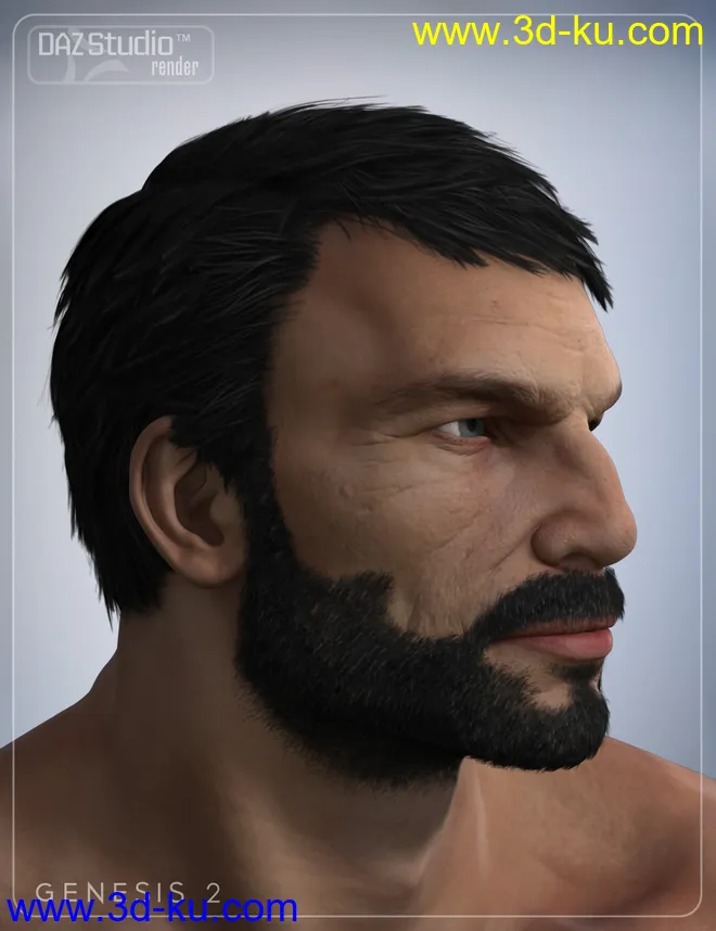 Boris Hair for Genesis 2 Male(s)模型的图片1