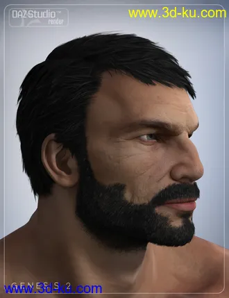 3D打印模型Boris Hair for Genesis 2 Male(s)的图片