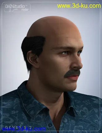 3D打印模型Boris Hair for Genesis 2 Male(s)的图片
