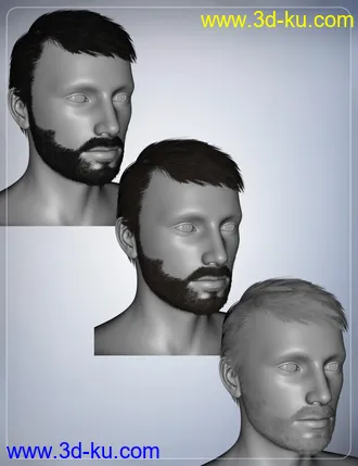 3D打印模型Boris Hair for Genesis 2 Male(s)的图片
