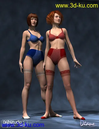 3D打印模型Boudoir Clothing Add-On Textures的图片