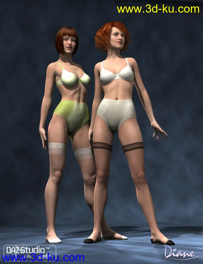 Boudoir Clothing Add-On Textures模型的图片2