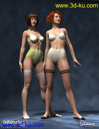 3D打印模型Boudoir Clothing Add-On Textures的图片