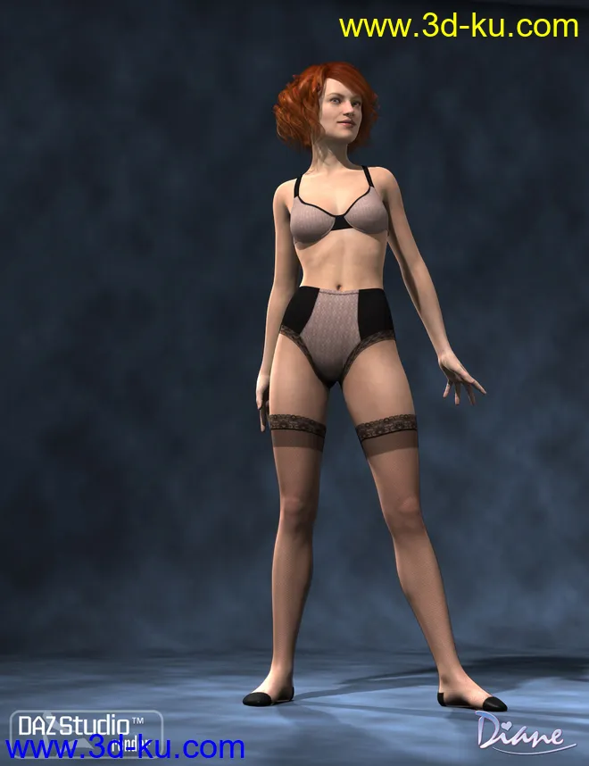 Boudoir Clothing Add-On Textures模型的图片3