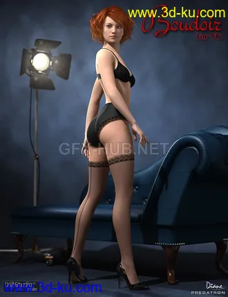 3D打印模型Boudoir for Victoria 6的图片