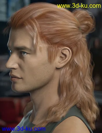 3D打印模型Briggs Hair for Genesis 8 Male and Females的图片