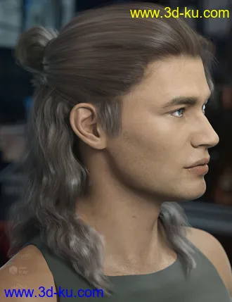 3D打印模型Briggs Hair for Genesis 8 Male and Females的图片