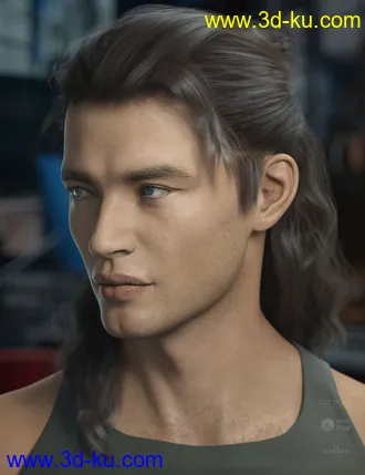 3D打印模型Briggs Hair for Genesis 8 Male and Females的图片
