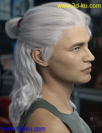 3D打印模型Briggs Hair for Genesis 8 Male and Females的图片