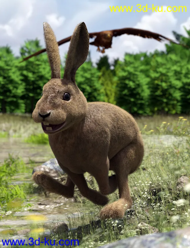 Caesar the Hare for Daz Dog 8模型的图片1