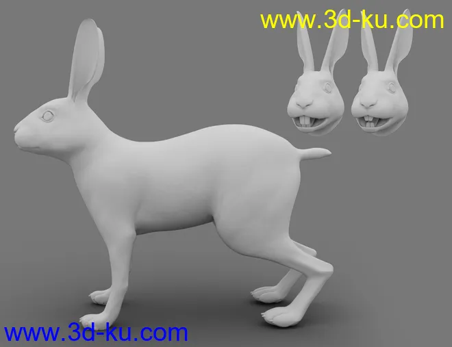 Caesar the Hare for Daz Dog 8模型的图片2
