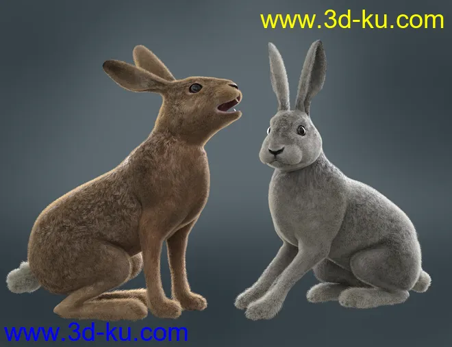 Caesar the Hare for Daz Dog 8模型的图片5