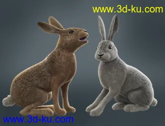 3D打印模型Caesar the Hare for Daz Dog 8的图片