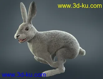 3D打印模型Caesar the Hare for Daz Dog 8的图片