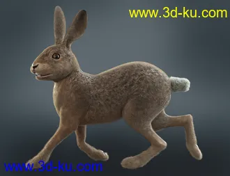 3D打印模型Caesar the Hare for Daz Dog 8的图片