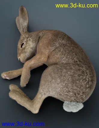 3D打印模型Caesar the Hare for Daz Dog 8的图片