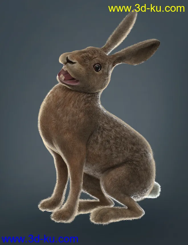 Caesar the Hare for Daz Dog 8模型的图片11