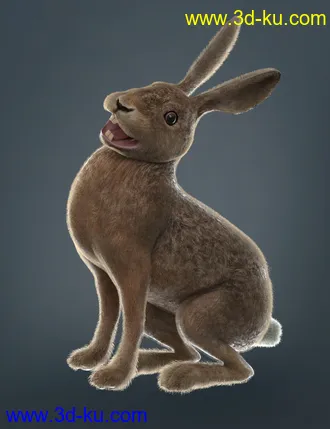 3D打印模型Caesar the Hare for Daz Dog 8的图片