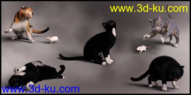 Casual Cat for Daz House Cat模型的图片3