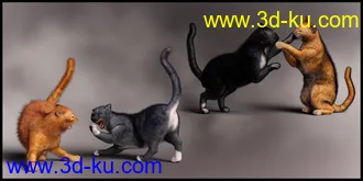 3D打印模型Casual Cat for Daz House Cat的图片