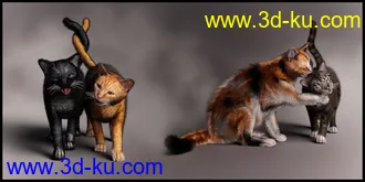 3D打印模型Casual Cat for Daz House Cat的图片