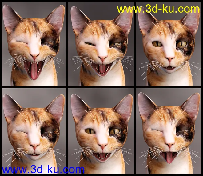 Casual Cat for Daz House Cat模型的图片7