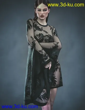 3D打印模型CB Dakota HD For Genesis 8.1 Females的图片