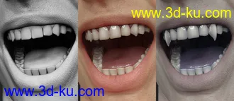 3D打印模型CC Jack for Holt 8的图片