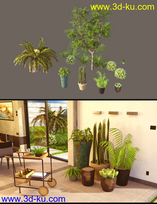 Cecilia House Plants模型的图片1