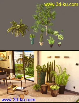 3D打印模型Cecilia House Plants的图片