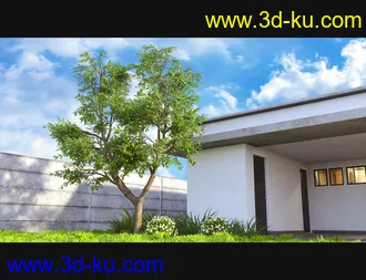 3D打印模型Cecilia House Plants的图片