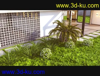 3D打印模型Cecilia House Plants的图片