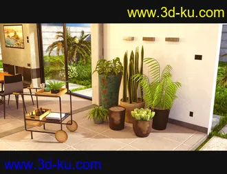 3D打印模型Cecilia House Plants的图片