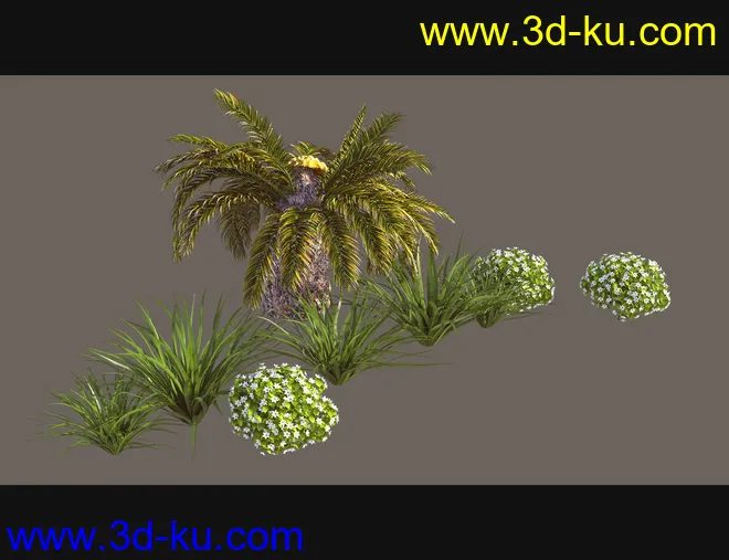 Cecilia House Plants模型的图片5