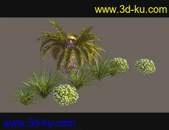 3D打印模型Cecilia House Plants的图片