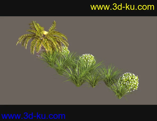 Cecilia House Plants模型的图片6