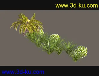 3D打印模型Cecilia House Plants的图片