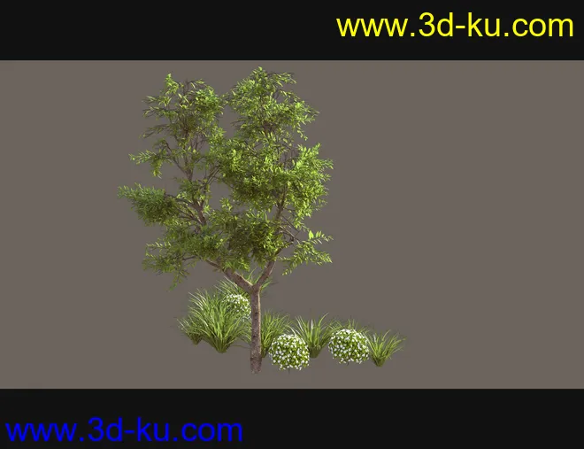 Cecilia House Plants模型的图片7