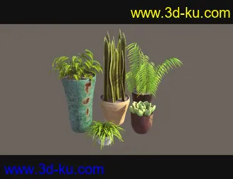 3D打印模型Cecilia House Plants的图片