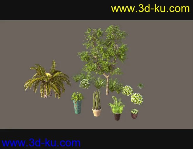 Cecilia House Plants模型的图片9