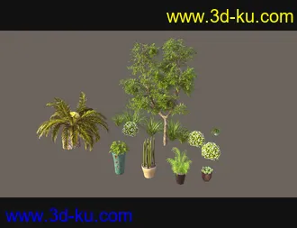 3D打印模型Cecilia House Plants的图片