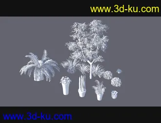 3D打印模型Cecilia House Plants的图片