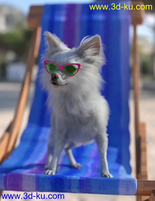 Chihuahua for Daz Dog 8 Brutus模型的图片3