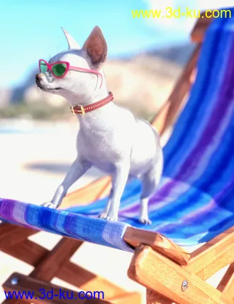 3D打印模型Chihuahua for Daz Dog 8 Brutus的图片